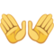 Open Hands emoji on Facebook